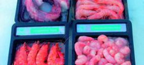 Dagustín prevé superar los 80 M y lanzar su nueva gama para retail en noviembre