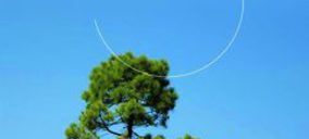 Tragsa reducirá un 16% su plantilla