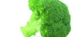 Campo de Lorca levantará un nuevo almacén