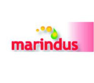 Marindus entra en concurso de acreedores