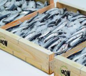 SP Group busca aumentar la vida útil del pescado