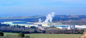 El grupo SCA reorganiza su presencia en nuestro país