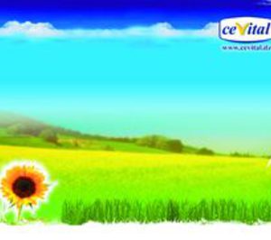 Cevital compra Alas Aluminium