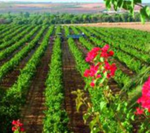 Acuerdo comercial para los vinos de Condado de Huelva