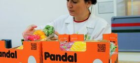 Optimismo en el arranque de campaña de AgrupaEjido