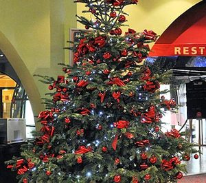 Rentokil diversifica su actividad 