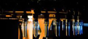 Nosoplas absorbe a Nosinyec