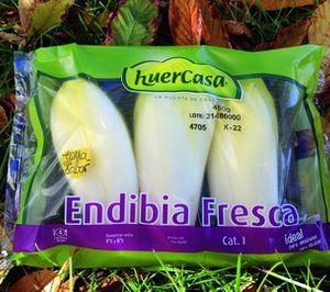 Las endibias de Huercasa se comercializan con el sello Tierra de Sabor
