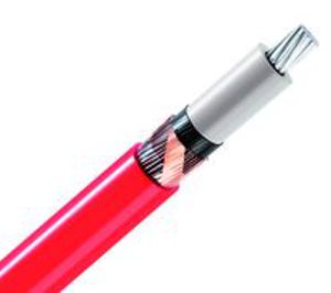 Dielca comienza a operar en el exterior