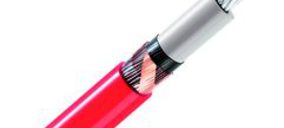 Dielca comienza a operar en el exterior