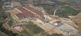 SCA oferta fabricar pañales en nuestro país