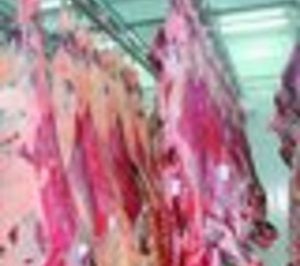 El matadero de O Carballiño podría volver a funcionar en 2014