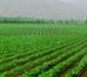 Alsur redobla su apuesta por Perú