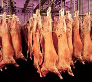 El matadero de Langreo volverá a cambiar de gestor