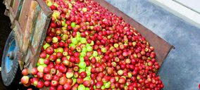 Custom Drinks desarrolla un proyecto de I+D sobre sidra