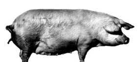 Grupo Sagardi pone en marcha el restaurante Pork Boig per tu!