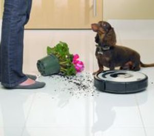 El PAE recupera el paso