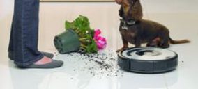 El PAE recupera el paso