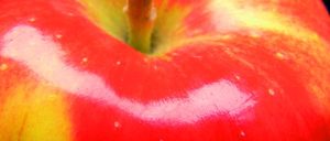 Informe 2014 del sector de manzana