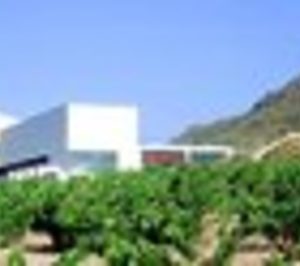 Grupo Bodegas Castaño vende su bodega alicantina