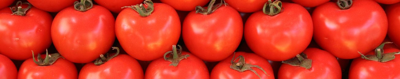 Análisis 2014 de las frutas y verduras ecológicas