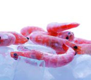 Congelados Roper abre la fase de convenio