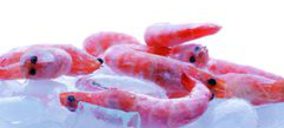 Congelados Roper abre la fase de convenio