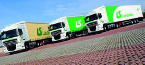 Luis Simoes apuesta por mejorar su eficiencia