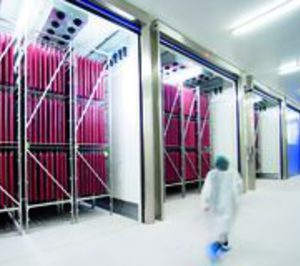 Monter prosigue con su plan de inversiones