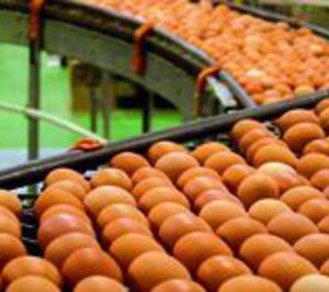 El grupo Huevos Guillén sumará una nueva planta este año