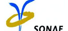 El negocio retail de Sonae desciende en España en 2013