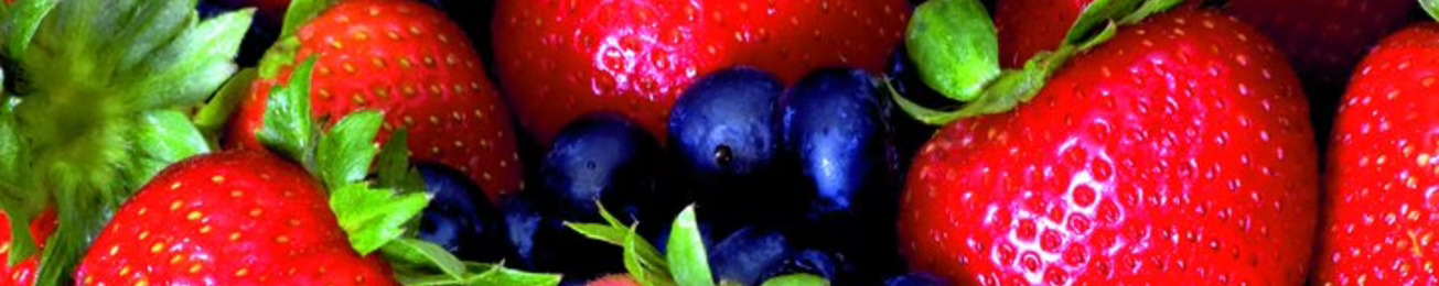 Informe 2014 del sector de Fresas y Berries