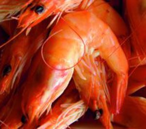 Cocedero de Mariscos, a ritmo de dos dígitos gracias a las exportaciones