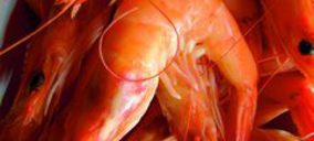 Cocedero de Mariscos, a ritmo de dos dígitos gracias a las exportaciones