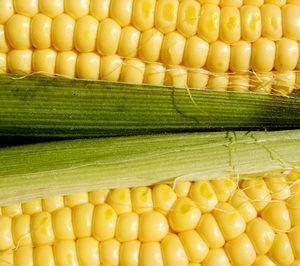 Inversiones Sinfín Agrícola absorbe su filial