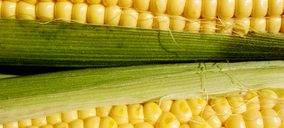 Inversiones Sinfín Agrícola absorbe su filial