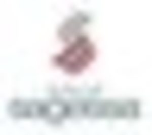 Jordi Colomer i Mascaró se hace cargo de la dirección de Sagessa