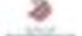 Jordi Colomer i Mascaró se hace cargo de la dirección de Sagessa