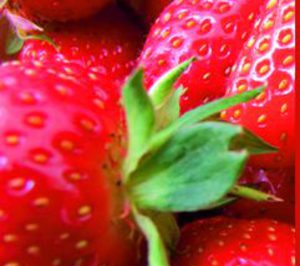 Grufesa continúa mejorando sus instalaciones