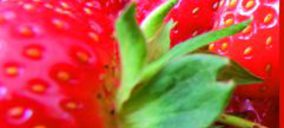 Grufesa continúa mejorando sus instalaciones