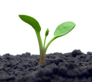 Monflor se apoya en nuevos clientes para duplicar las ventas