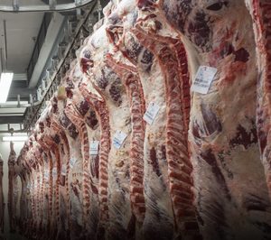 El matadero de Ribeira al fin ve la luz