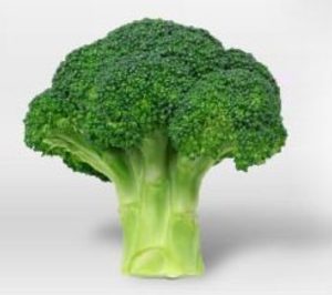 Agromediterránea dispara sus beneficios y busca nuevos acuerdos