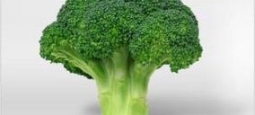 Agromediterránea dispara sus beneficios y busca nuevos acuerdos