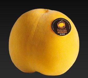 Acuerdo entre los implicados para evitar confusiones con el Melocotón de Calanda