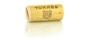 Miguel Torres invierte 2 M en la compra de una bodega en Rueda