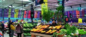 Informe 2014 del sector de la distribución alimentaria en Baleares