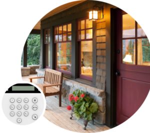 Tecnovida empieza a distribuir los sistemas Blaupunkt Security