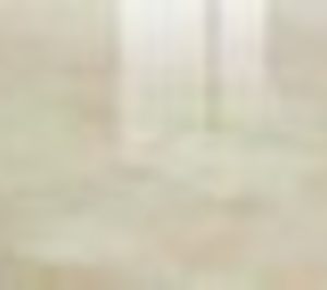 Levantina inaugura un centro en Madrid