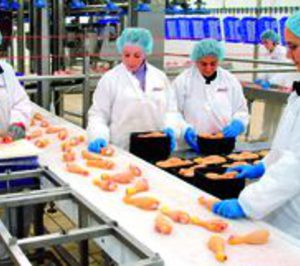 Nutreco pone en venta Nanta y Sada